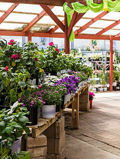 Garden Centers & Greenhouses