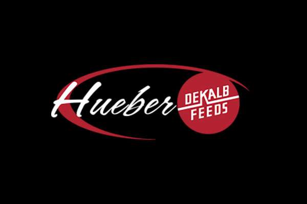 Hueber Feeds