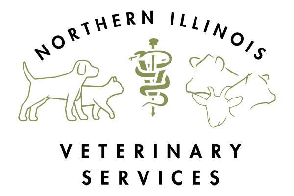 Northern Illinois Veterinary Services