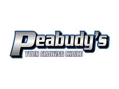 Peabudys