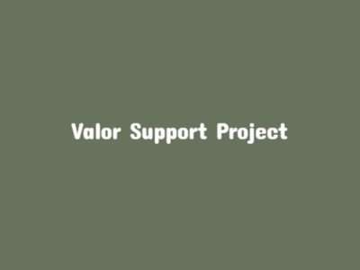 Valor Support Project