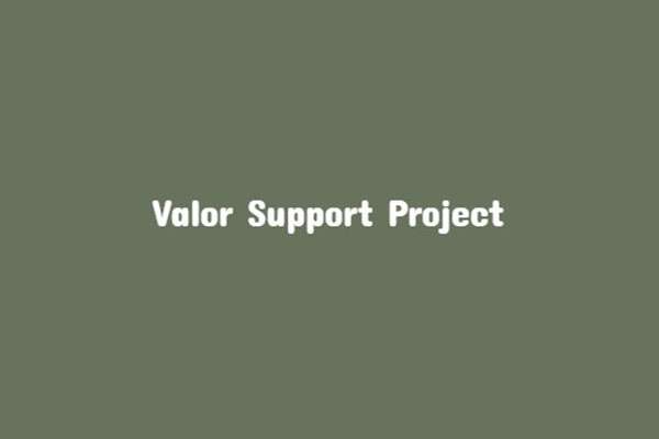 Valor Support Project
