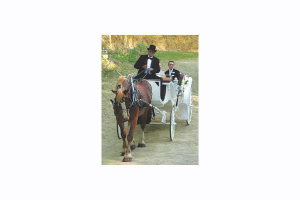 Cargill Carriage Rides