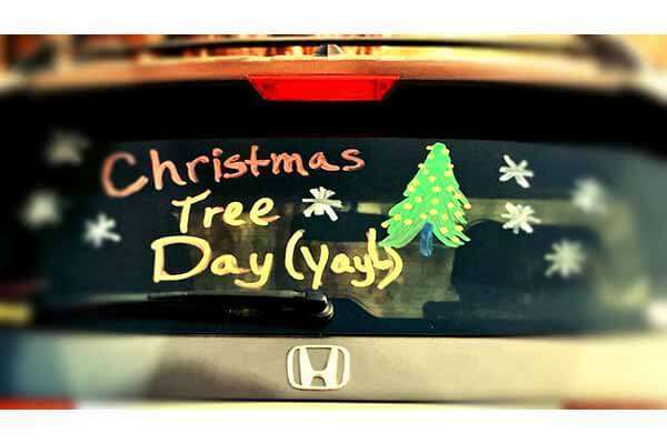 Dollinger Christmas Tree Farm