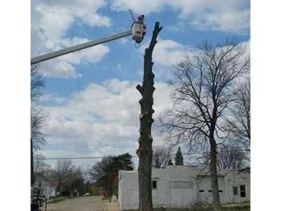 Extreme Tree Service