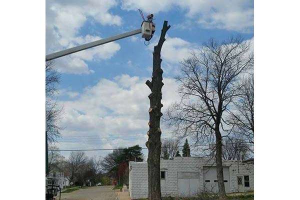 Extreme Tree Service