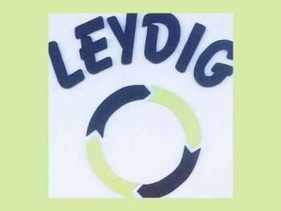 Leydig Center