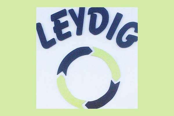Leydig Center