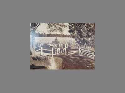 Morrison Historical Society