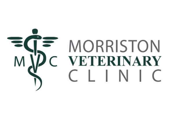 Morrison Veterinary Clinic