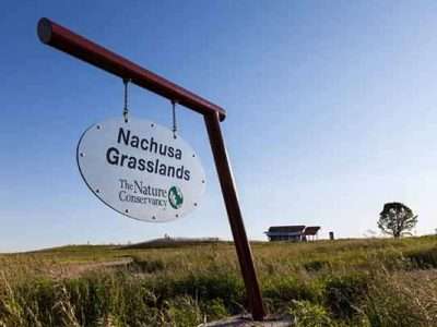 Nachusa Grasslands