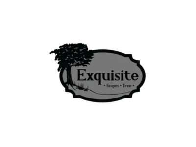 Exquisite-Scapes