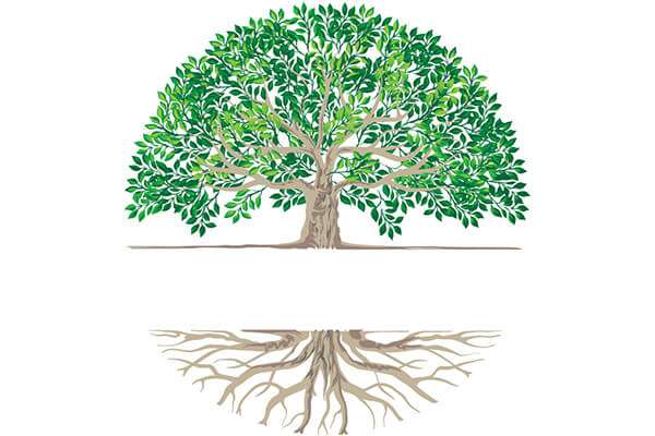 Mindful Matters Therapy