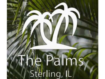 Palms